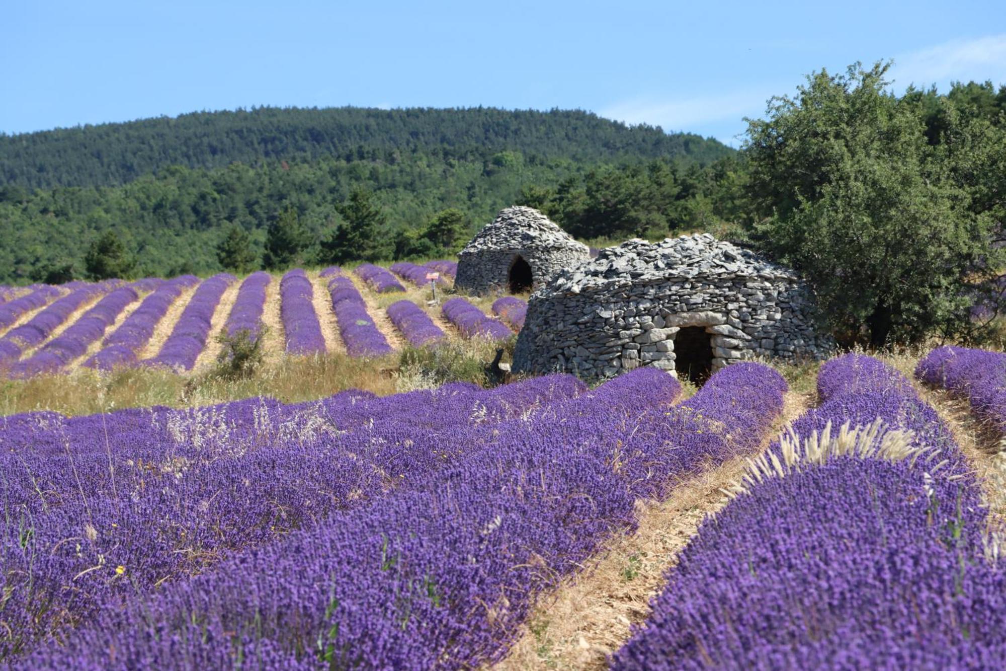 Studio Dans Le Luberon Cereste Экстерьер фото